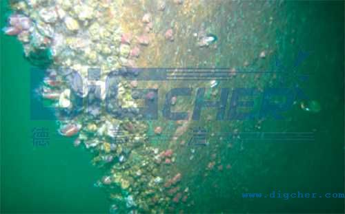 船殼海生物